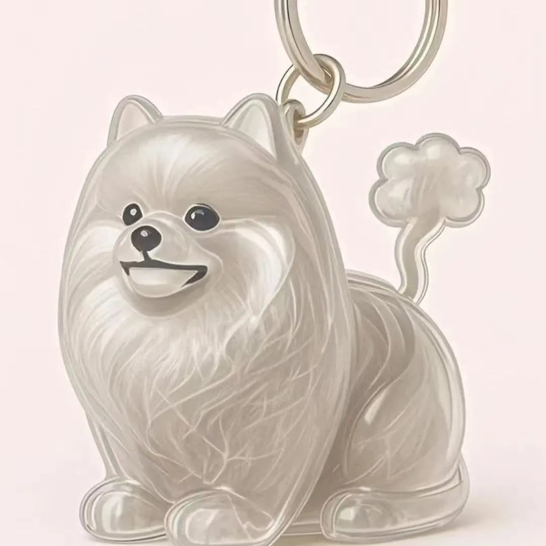 Pet Memorial Keepsake Keychain